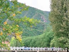 -百里山水画廊