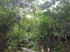 -火炉山森林公园