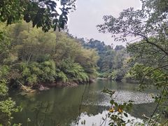 -常德桃花源景区