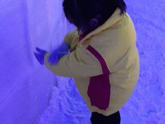 -世界之窗阿尔卑斯冰雪世界
