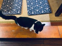 -樱の花亭日本料理店