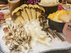 -小饕荟养生火锅(仁和·熙春郡店)