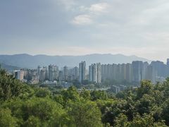 -金鸡山公园