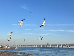 -星海广场