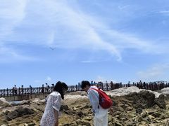 -养马岛旅游度假区