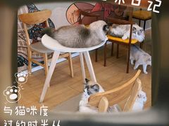 -Let's go狗咖·猫咖·奶狗·桌游(春熙路IFS店)