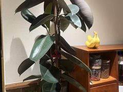 -东吉馆韩式餐厅(八经街总店)