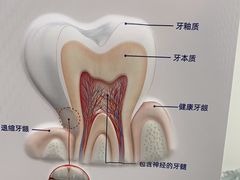-品凯口腔(丰潭门诊)