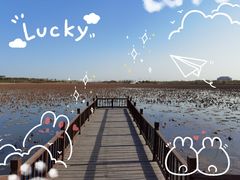 -天津东丽湖风景区