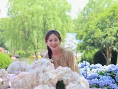 -上海鲜花港