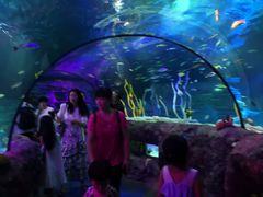 -沈阳海洋探索中心