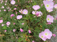 -宁波阳光豪生大酒店·豪生咖啡厅