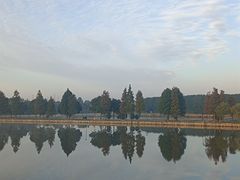 -广富林郊野公园