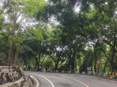 -大雁山风景区