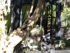 -可伦宾野生动物保护区