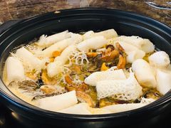 野生菌火锅-菌海森林野生菌火锅(摩根道店)
