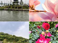 -天平湖公园
