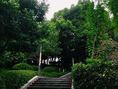 -重庆平顶山公园