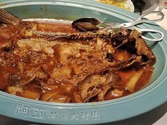 -阿五黄河大鲤鱼(英协路店)