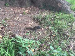 -普陀山风景名胜区-千步大沙