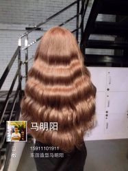 马明阳作品集-東田造型