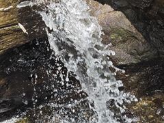 -白水寺森林公园