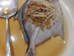-光头匠