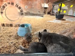 -酷嗒动物文化乐园(cutezoo西溪乐天城店)