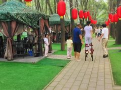 -草根堂农场
