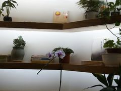 -十二舍·湯物素煮(江泰潤政店)