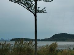 -江山半岛白浪滩景区
