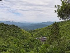 -江西阳明山国家森林公园