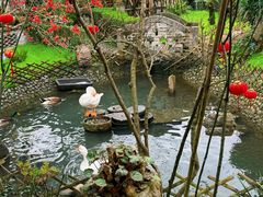 -青城甲(青城山店)