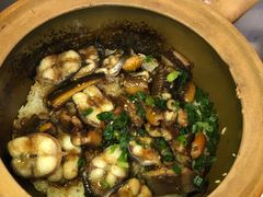 -红星光发煲仔饭(大石街店)