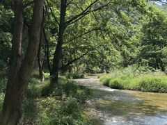 -郧西五龙河风景区