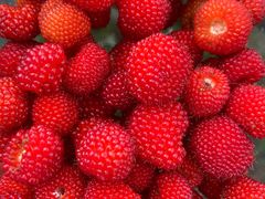 -章水镇文体中心