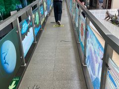 -中国第四纪冰川遗迹陈列馆