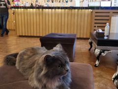 -明日世界密室轰趴·剧本桌游·箭馆团建(国贸店)