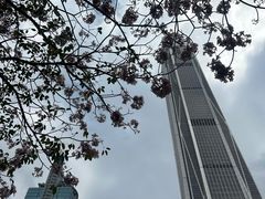 -平安金融中心云际观光层