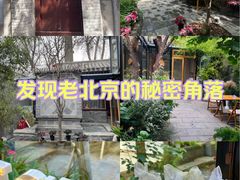 -巴巴新生活·四合院会议·疗愈团建.品牌活动