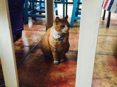 iphone_upload_pic-Sirena海妖日咖夜酒