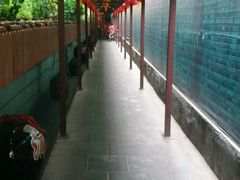 -窄巷子陕菜馆·地道陕西菜(粉巷店)