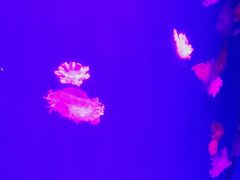 -福州罗源湾海洋世界旅游区