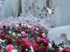 -洛阳白云山景区