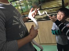 -藦茜花园宠物主题亲子互动体验馆(国顺东路店)