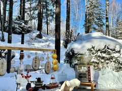 -峡谷浮石林景区