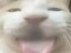 -合风谷(南下塘店)