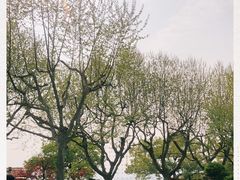 -西湖外事游船(湖滨二公园外事游船码头)