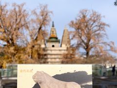 -北京石刻艺术博物馆(五塔寺)