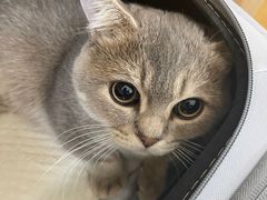 -美联众合动物医院·24h京西诊疗中心